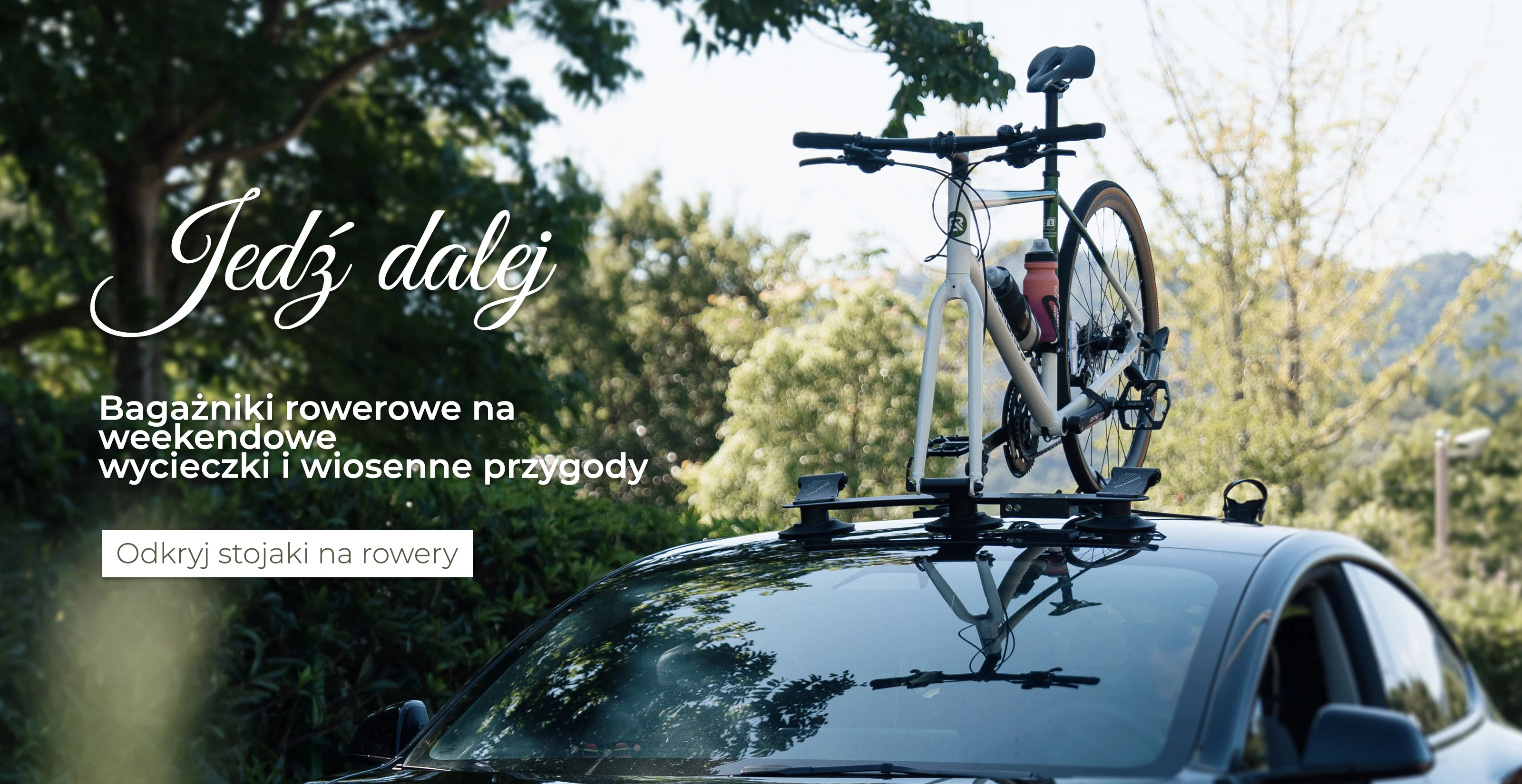 Twoja Pasja, Nasz Profesjonalny Sprzęt